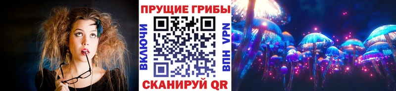 Псилоцибиновые грибы Psilocybe  blacksprut сайт  Ленинградская 